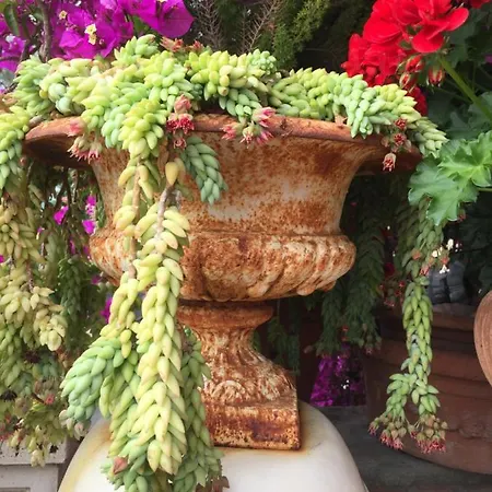 Il Poggio Del Castello La Casa Dei Gio - Greta Ferienhaus *