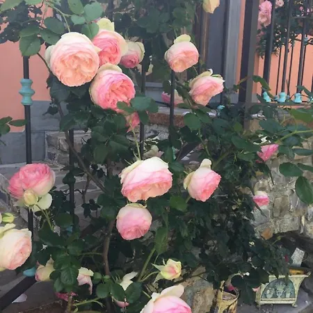Il Poggio Del Castello La Casa Dei Gio - Greta Ferienhaus